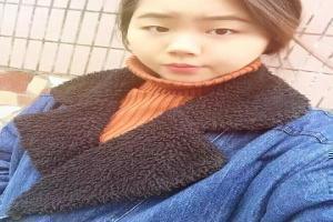 新上海滩郑少秋版免费观看